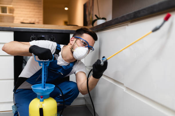 Best Mosquito Control Services  in West Point, NY