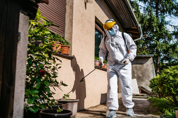 Best Flea Control Services  in West Point, NY