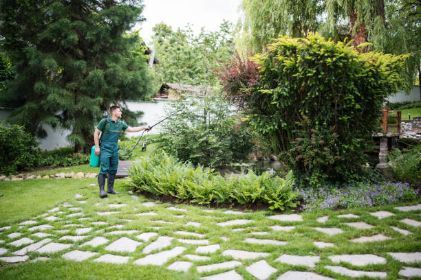 Best Mosquito Control Services  in West Point, NY