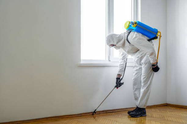 Best Pest Prevention Services  in West Point, NY
